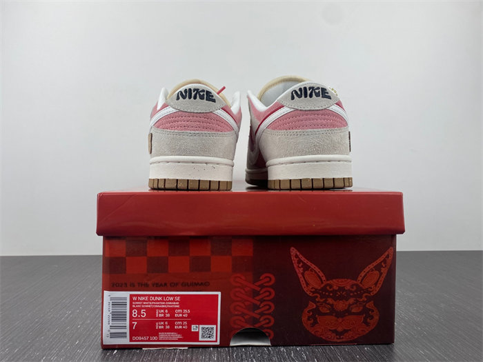 Nike Dunk Low SE DO9457-100