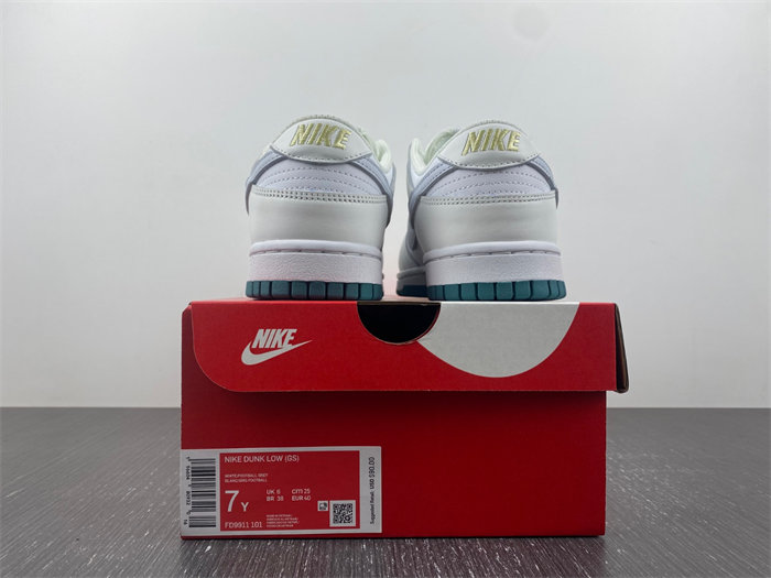 Nike DUNK LOW FD9911-101