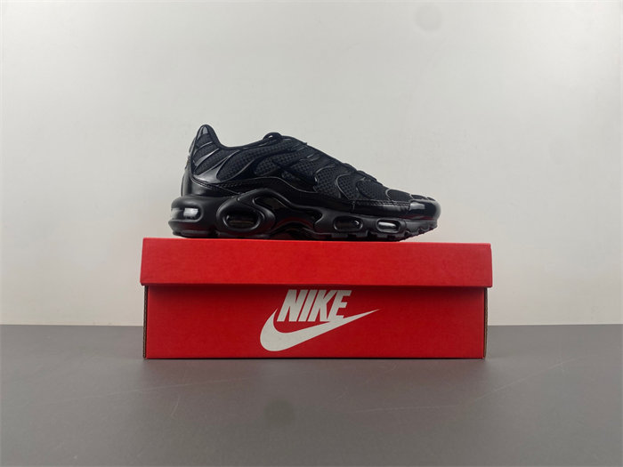 Nike Air Max Plu 604133-050