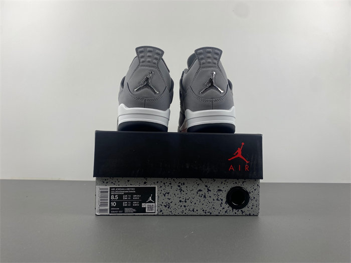 Air Jordan 4“Cool Grey”2019 308497-007
