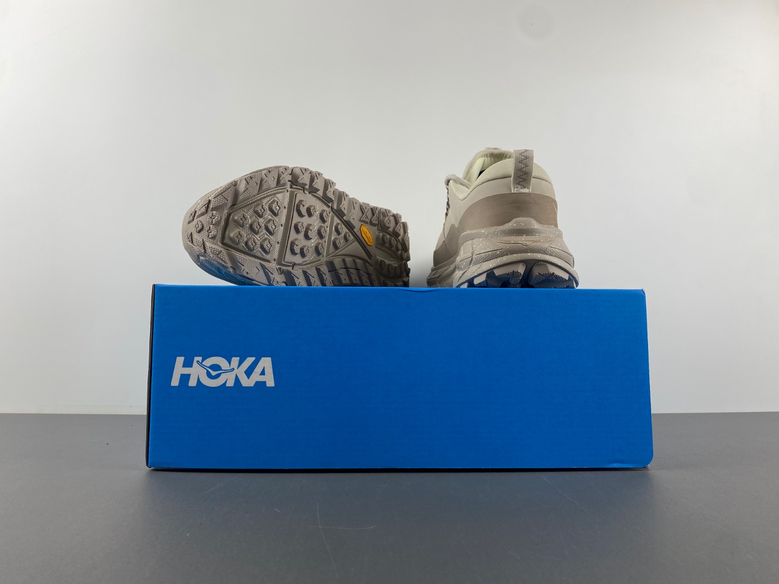 HOKA ONE ONE Tor Summit 1147952